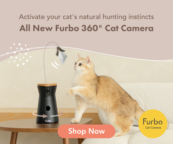 Keep your pet safe and happy with Furbo 360° Dog Camera and all-new Furbo 360° Cat Camera with rotating 360° wide-angle view, color night vision, auto pet tracking, treat toss, barking and meowing alerts!