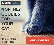 KitNip Box